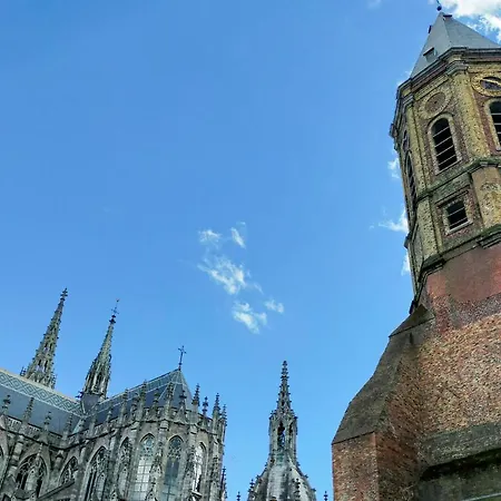 Residentie Sint-paulus Appartamento *